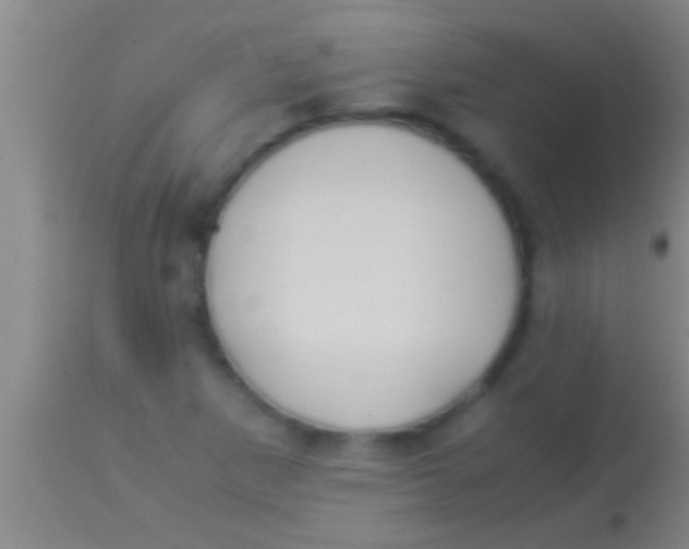 X0000113951265200910161931