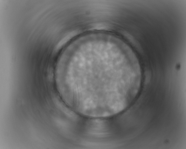X0000113951266200910161931