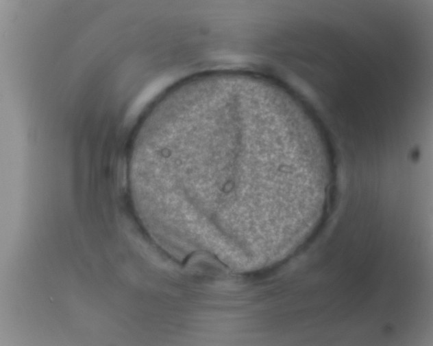 X0000113951267200910161931