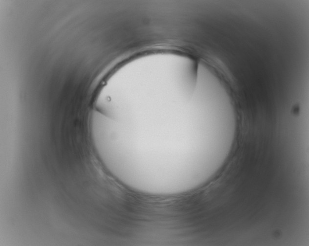 X0000113951268200910161931