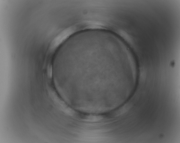 X0000113951269200910161931