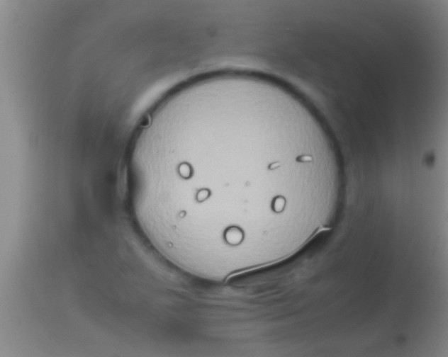 X0000113951271200910161930