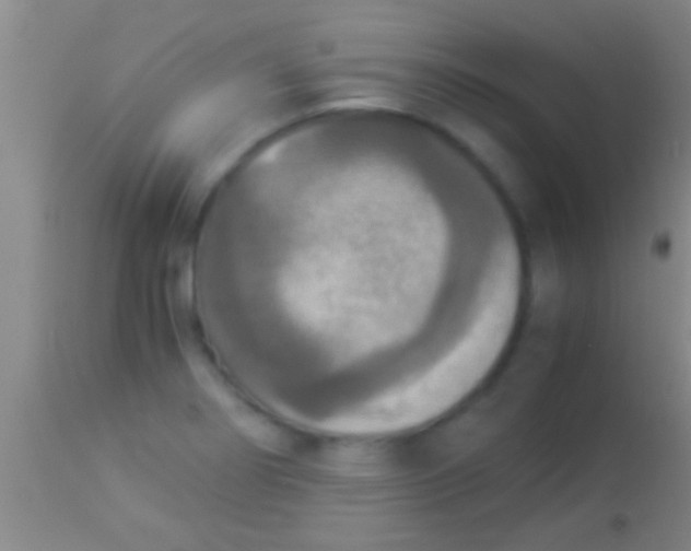 X0000113951274200910161930