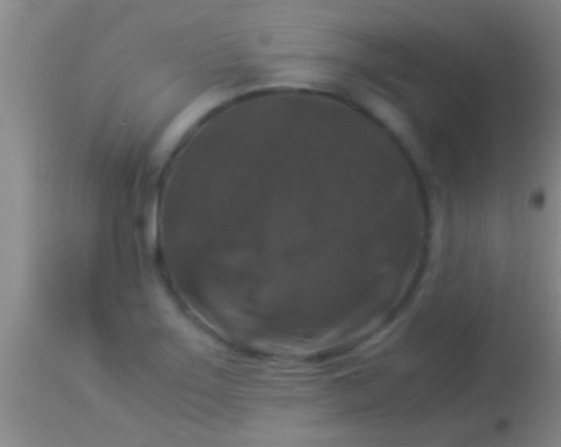 X0000113951275200910161930