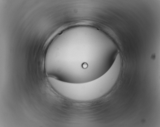 X0000113951276200910161930