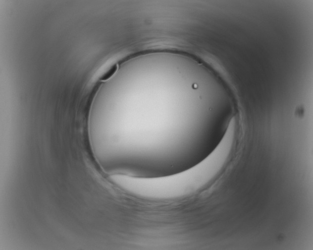 X0000113951277200910161930