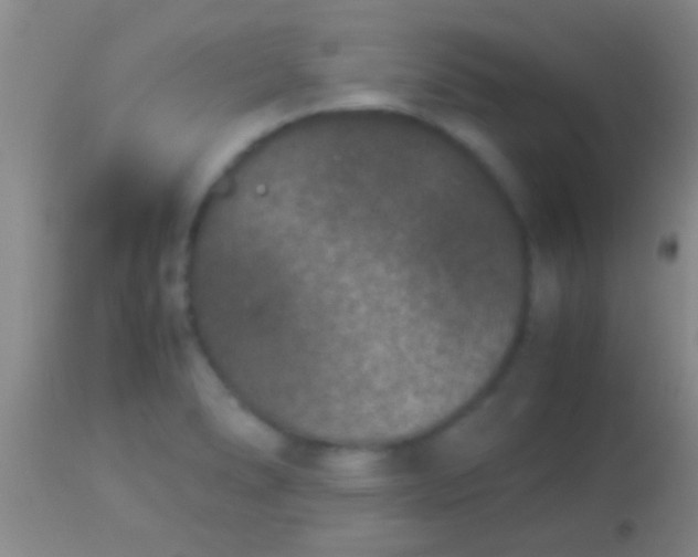 X0000113951278200910161930
