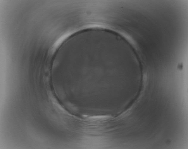 X0000113951279200910161930