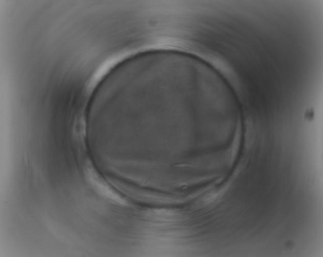 X0000113951280200910161930