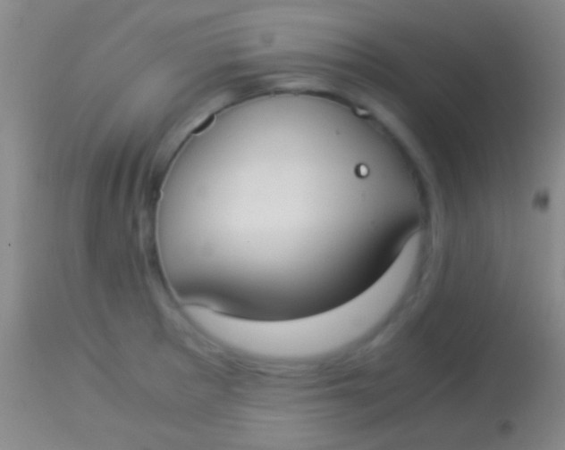 X0000113951281200910161930