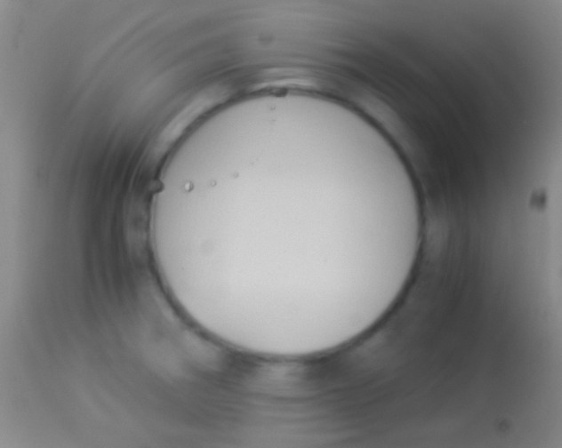 X0000113951282200910161930