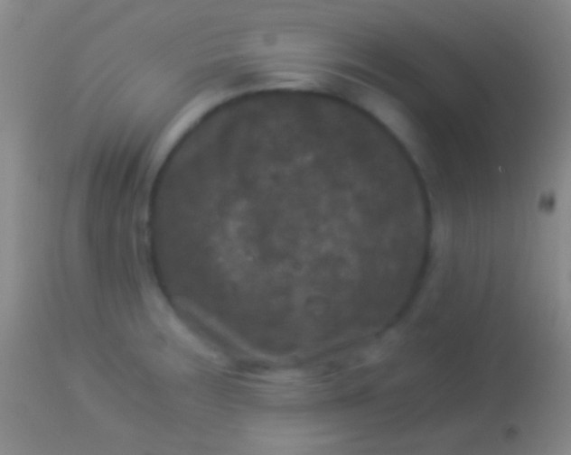 X0000113951283200910161930
