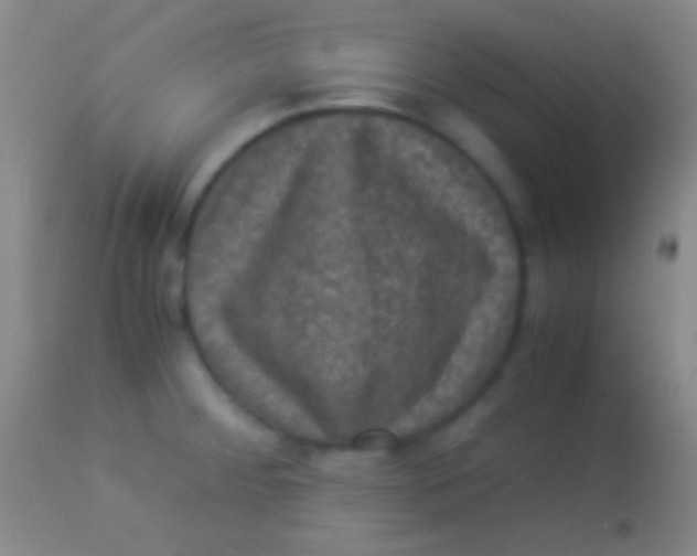 X0000113951284200910161930
