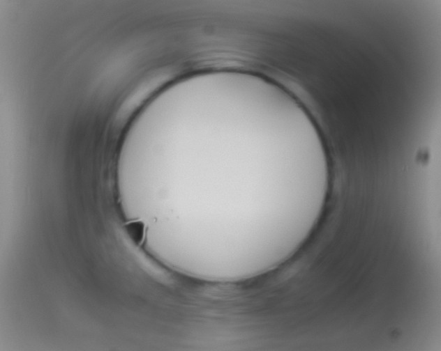 X0000113951285200910161930