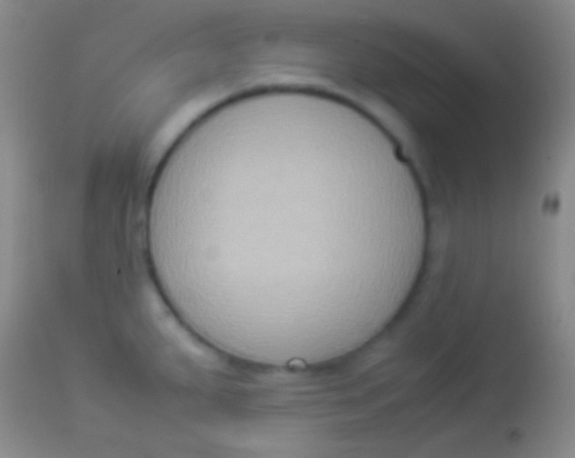 X0000113951287200910161930