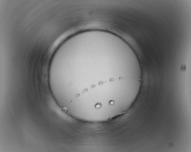 X0000113951288200910161930