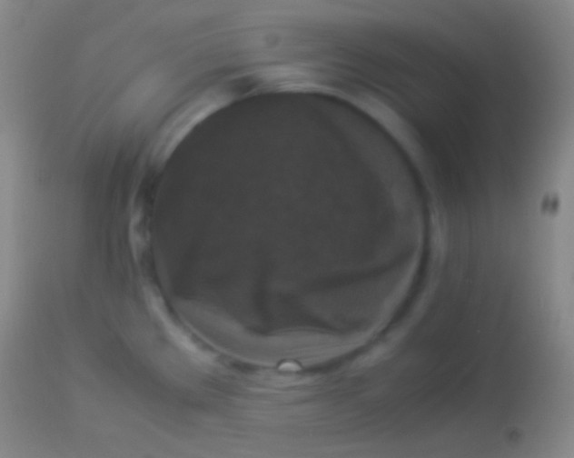 X0000113951289200910161930