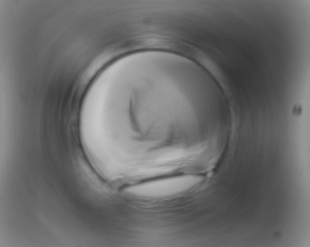X0000113951291200910161930