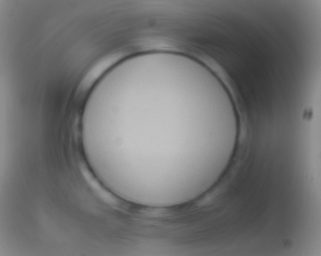 X0000113951293200910161930