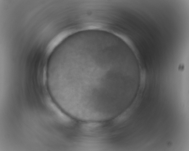 X0000113951294200910161930