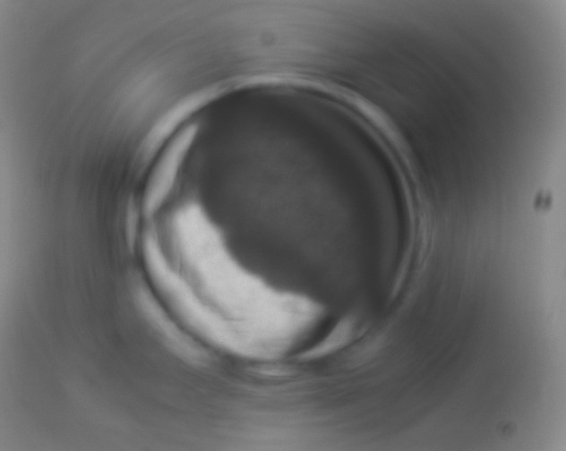 X0000113951295200910161930