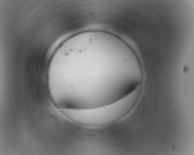 X0000113951296200910161930