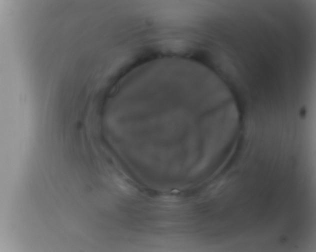 X0000113951297200910161929