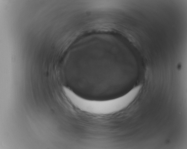 X0000113951298200910161929