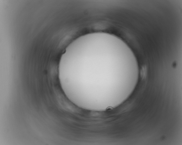 X0000113951299200910161929