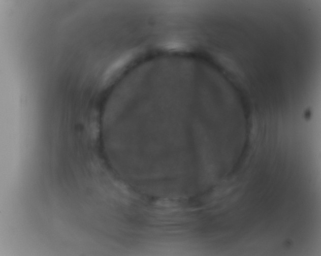 X0000113951301200910161929