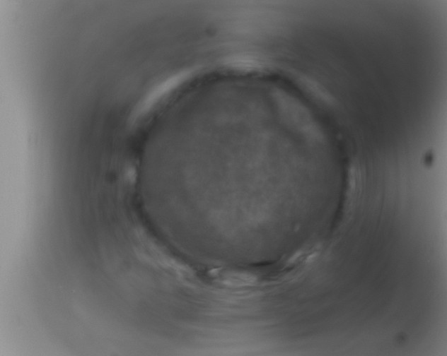 X0000113951302200910161929
