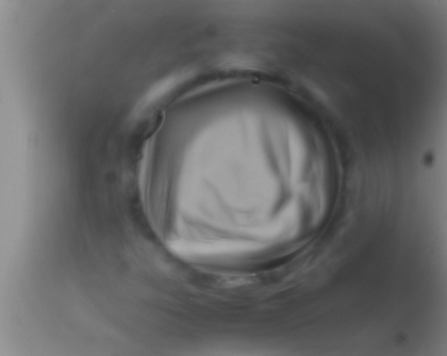 X0000113951303200910161929