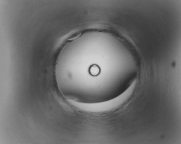 X0000113951304200910161929