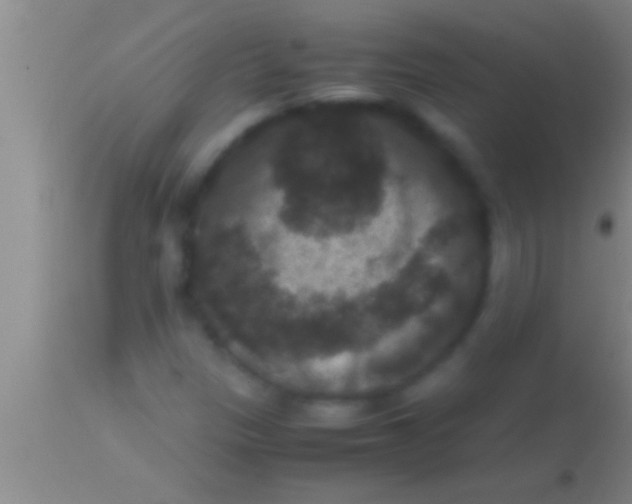 X0000113951305200910161929