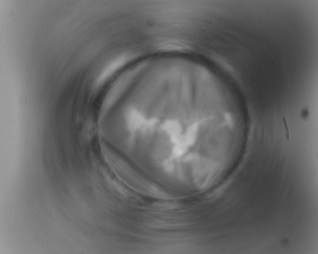 X0000113951306200910161929