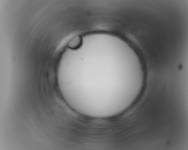 X0000113951307200910161929