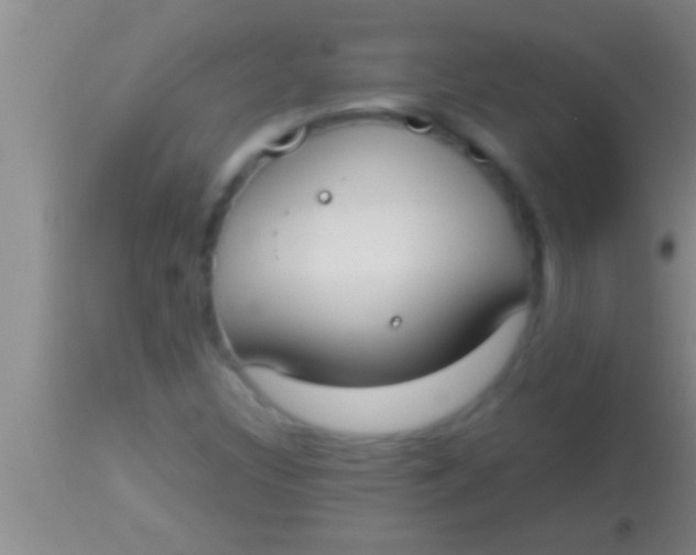 X0000113951308200910161929