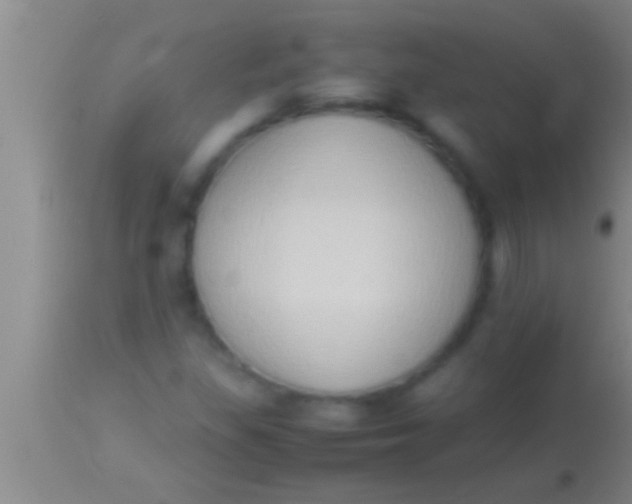 X0000113951309200910161929