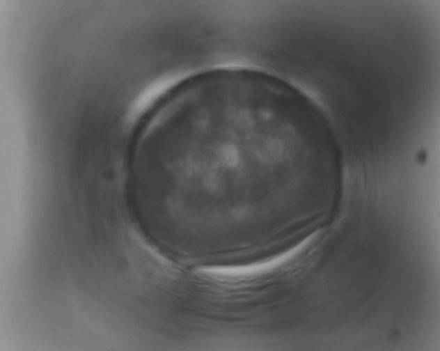X0000113951311200910161929