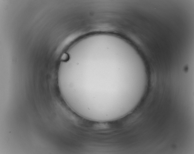 X0000113951315200910161929
