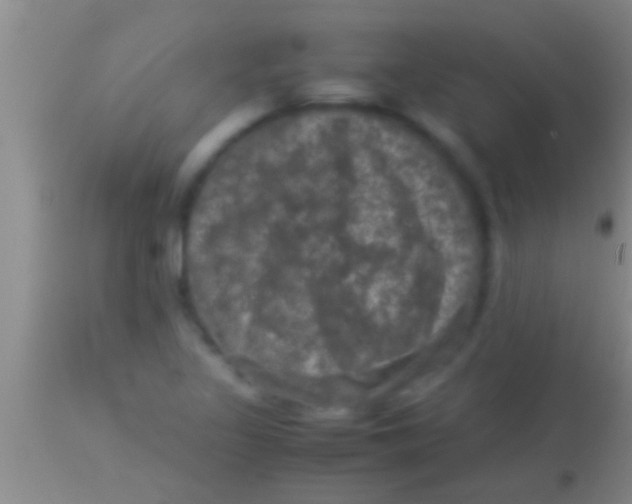 X0000113951317200910161930