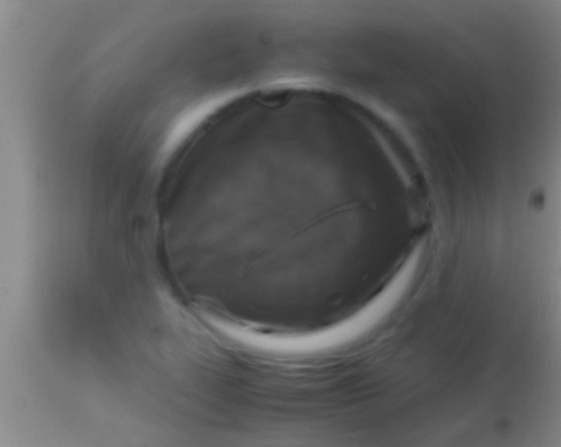 X0000113951319200910161930