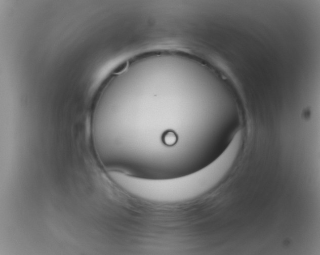 X0000113951320200910161930