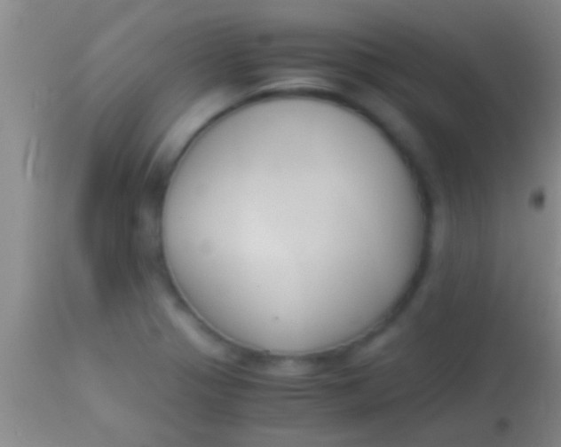X0000113951321200910161930