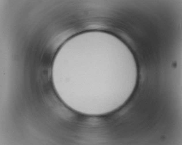 X0000113951322200910161930