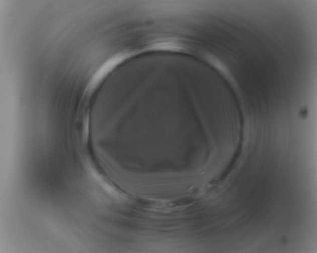 X0000113951323200910161930