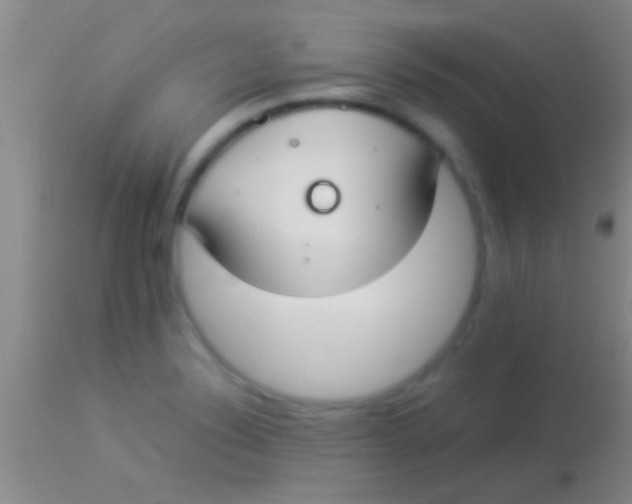 X0000113951324200910161930