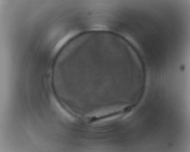 X0000113951325200910161930