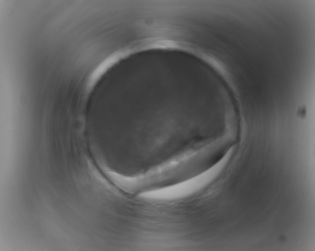 X0000113951326200910161930