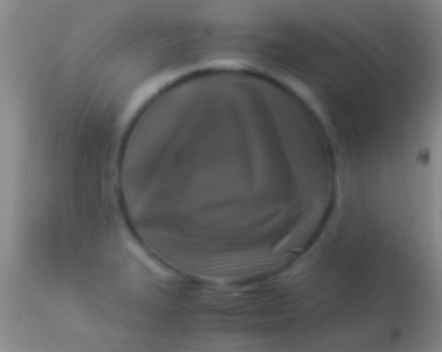 X0000113951327200910161930